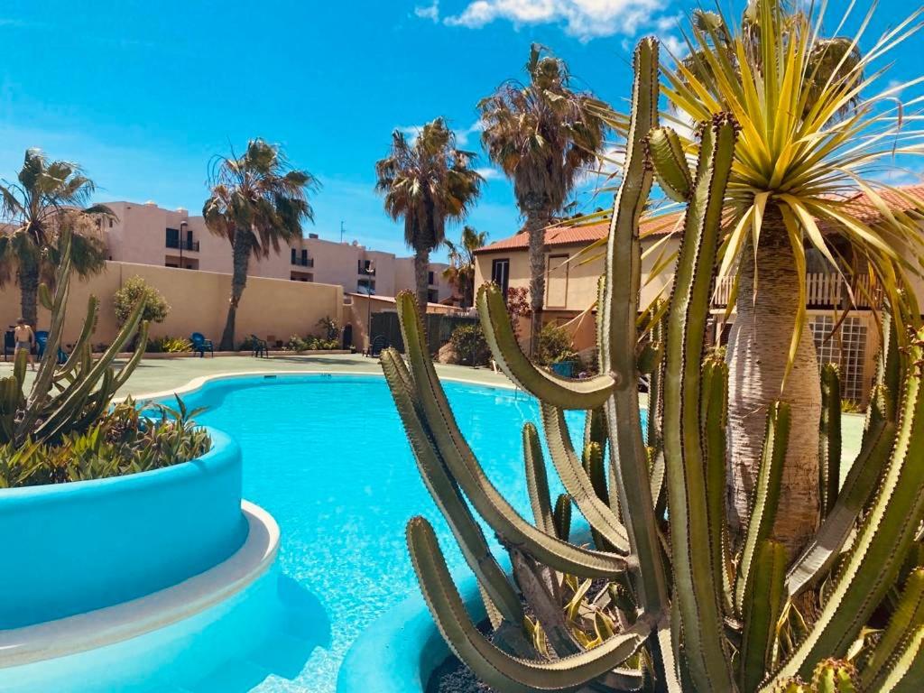 Ferienwohnung Surf And Chill Bungalow 70 Parque Holandes Exterior foto
